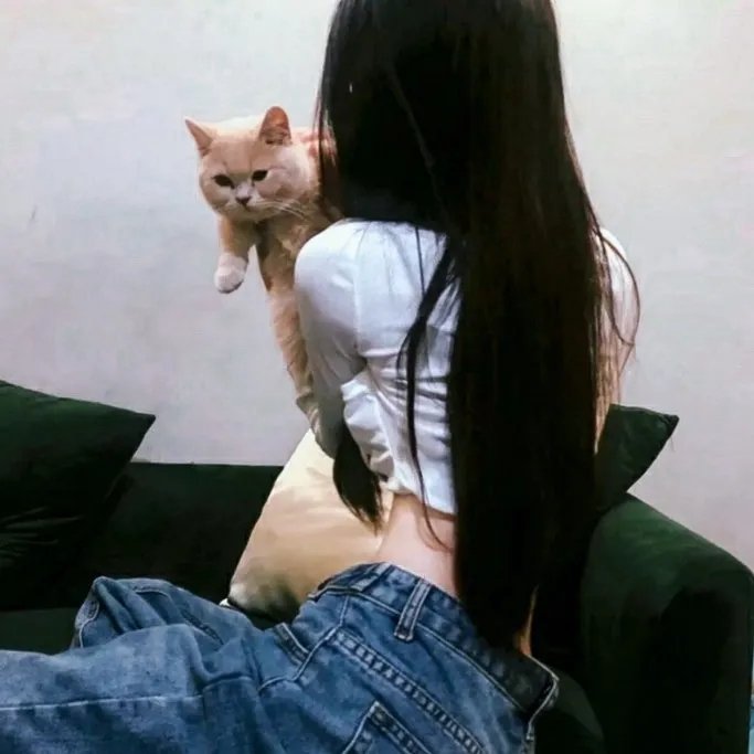 房子的故事