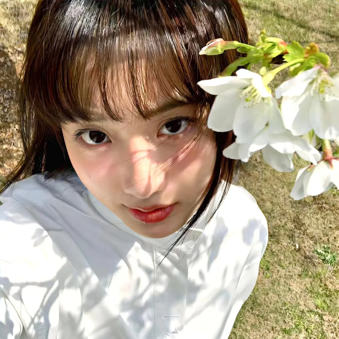 芒果和红色轮椅